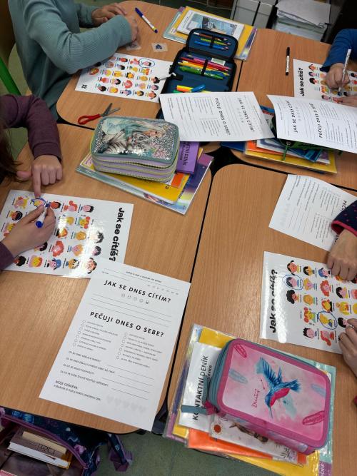 Projektová výuka - "Emoce"