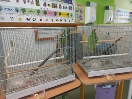 Výukový program - Ptáci 18.9.2023